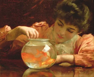 The Goldfish Bowl